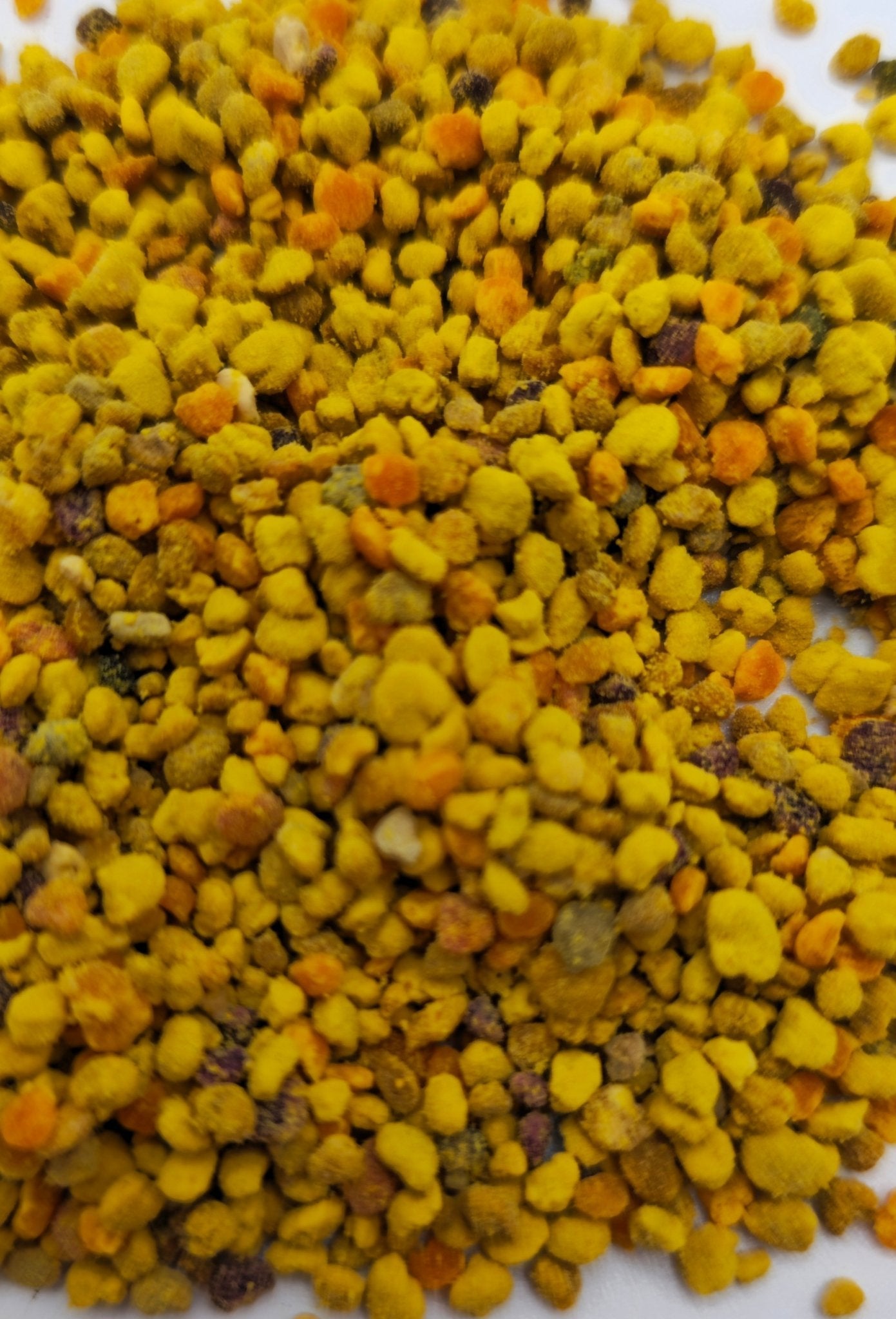 A heap of small yellow and orange pollen granules, each a rounded pellet, on a white surface.