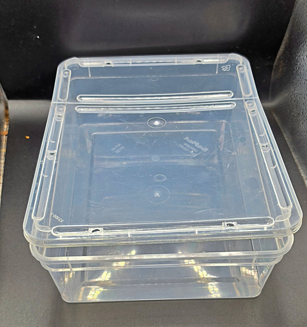 3L Braplast Tub, Invertebrate Enclosure
