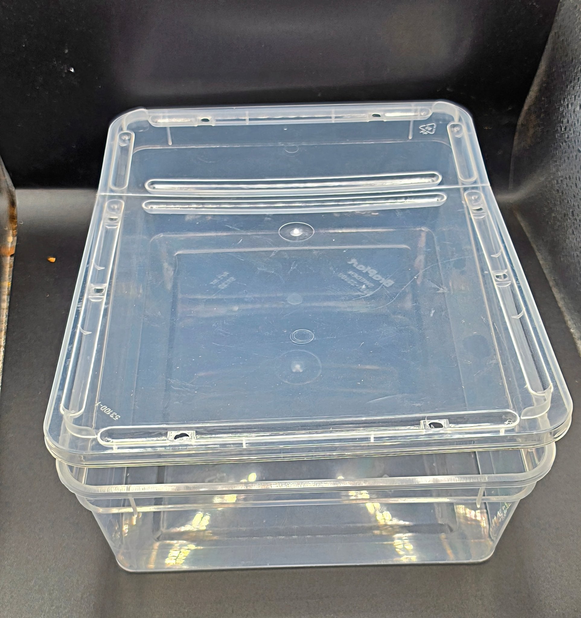 3L Braplast Tub, Invertebrate Enclosure