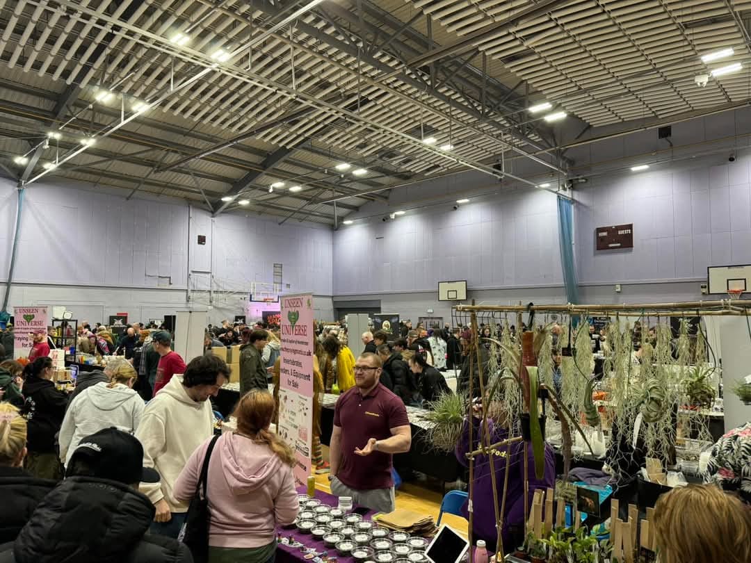 A crowded invertebrate show in a sports hall, with trader stalls, hanging air plants and a tall pink Unseen Universe banner.