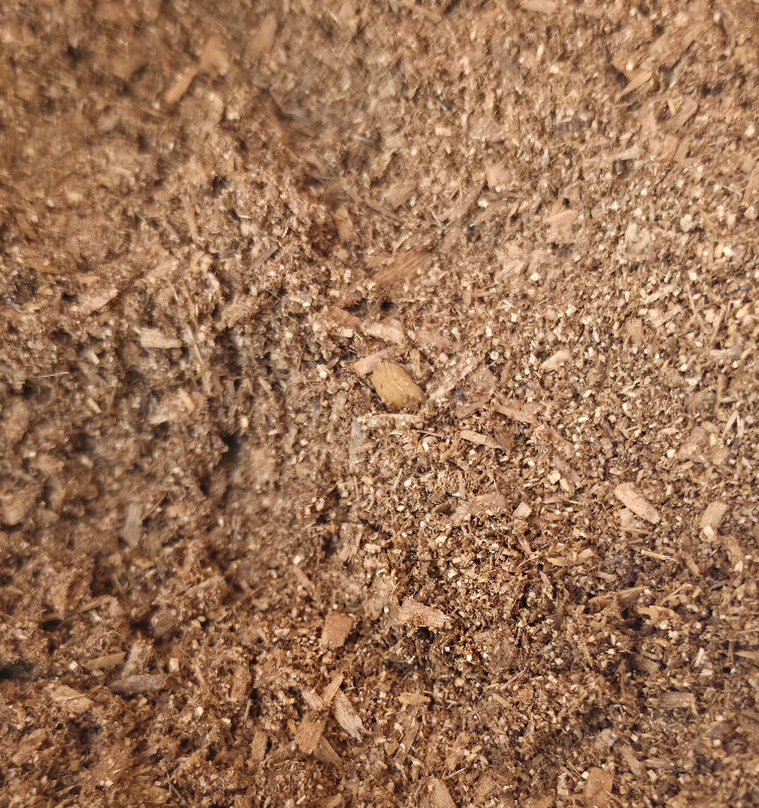 What Is Flake Soil? - Isopods For Sale UK | PostPods