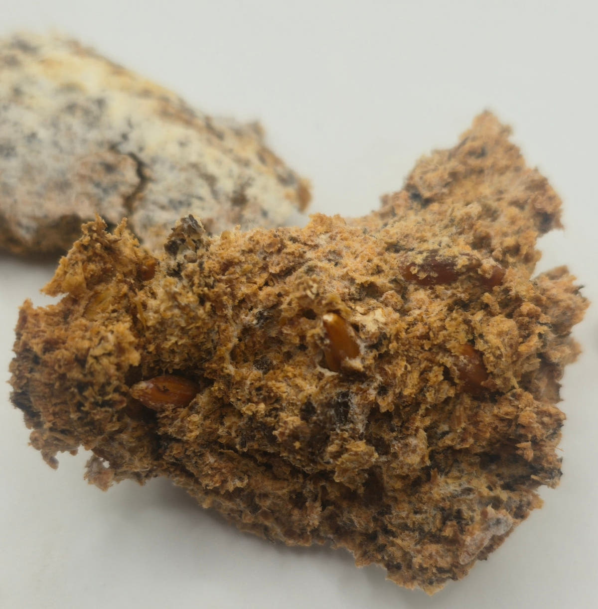 A broken lump of crumbly orange-brown substrate with grains showing in the break, beside a paler speckled block on white.