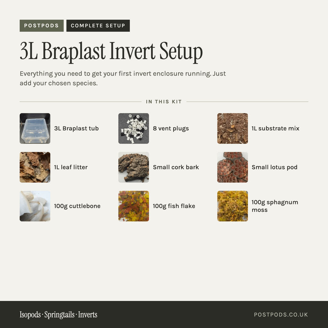 An informational setup kit graphic for a 3L Braplast Invert, showing a list of included items with small photos and labels on a light beige background. Items include a 3L Braplast tub, 8 vent plugs, 1L substrate mix, 1L leaf litter, small cork bark, a small lotus pod, 100g cuttlebone, 100g fish flake, and 100g sphagnum moss.