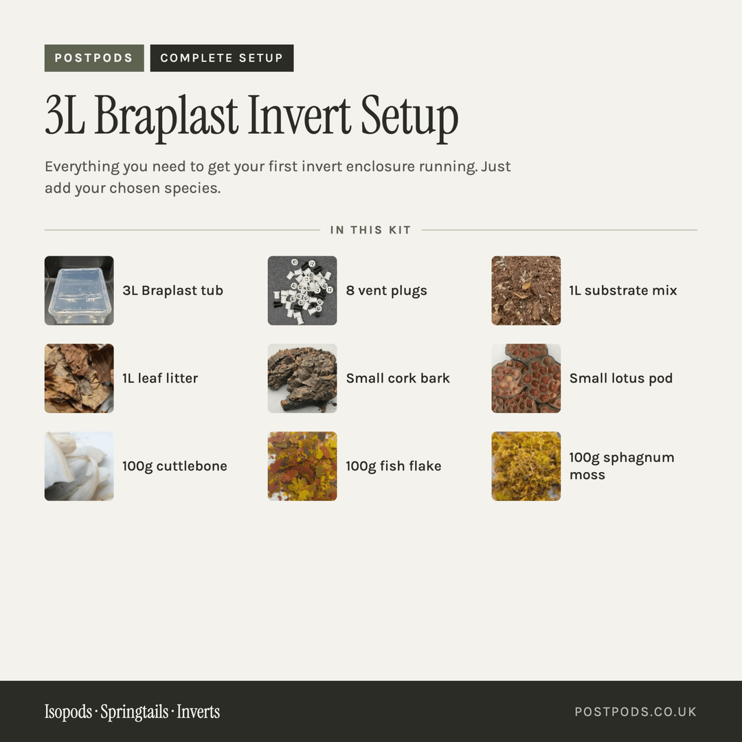 An informational setup kit graphic for a 3L Braplast Invert, showing a list of included items with small photos and labels on a light beige background. Items include a 3L Braplast tub, 8 vent plugs, 1L substrate mix, 1L leaf litter, small cork bark, a small lotus pod, 100g cuttlebone, 100g fish flake, and 100g sphagnum moss.