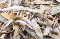 thin and long light yellow and green leaves 