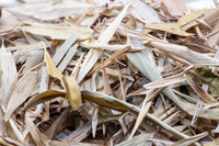 light yellow and pale green leaves