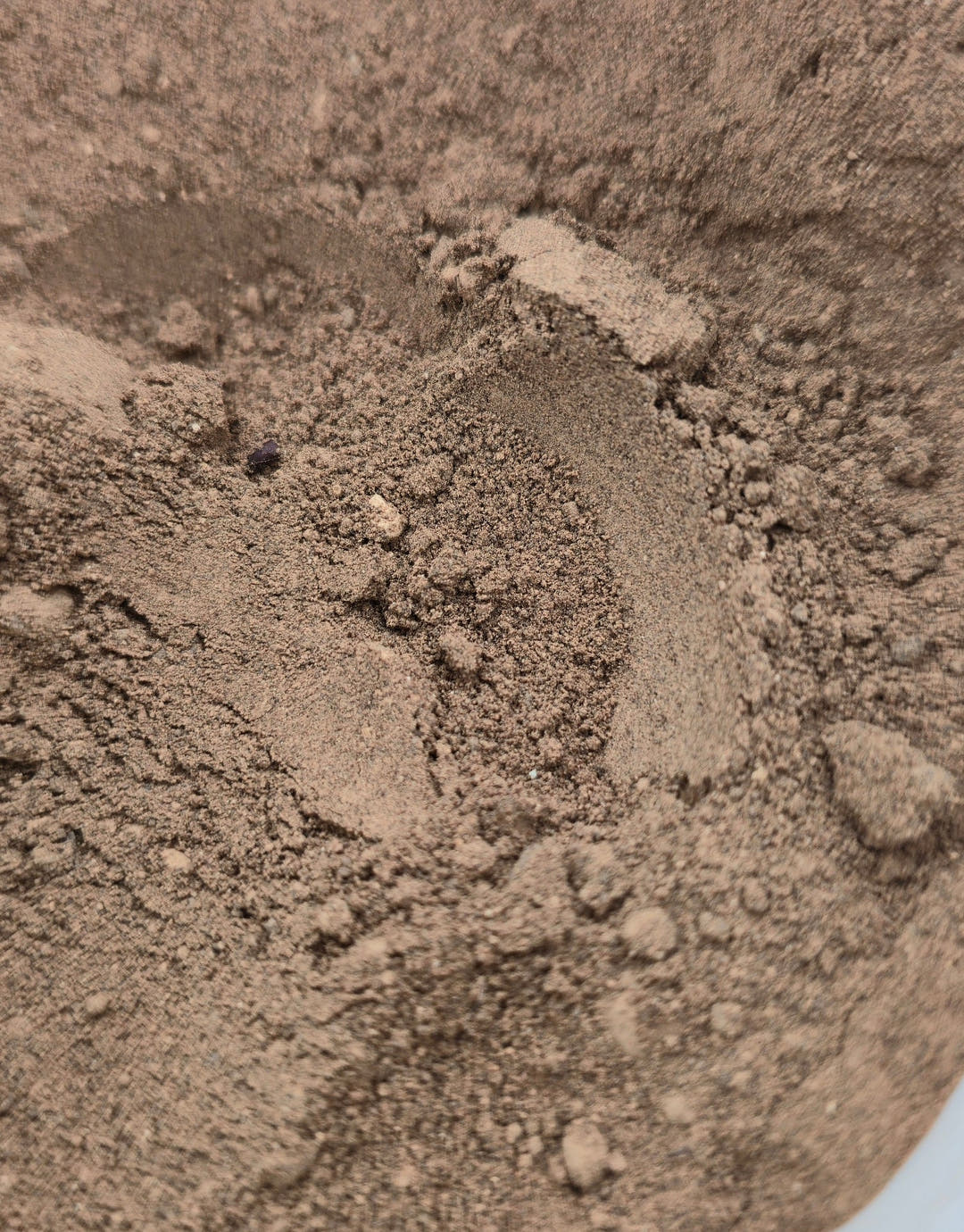 Bat Guano 25g