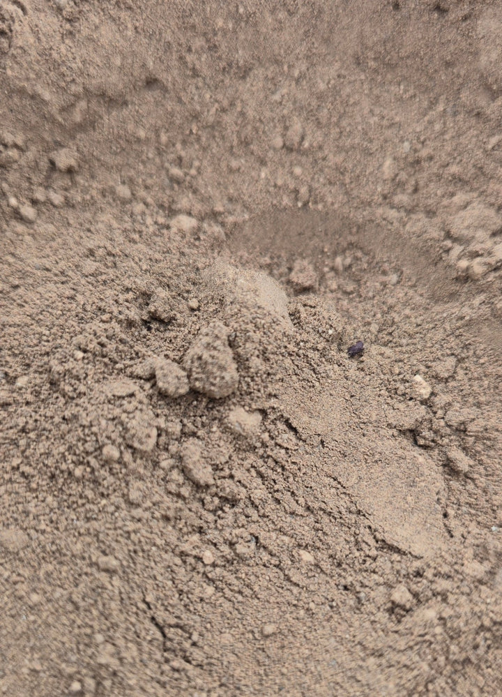 Bat Guano 25g