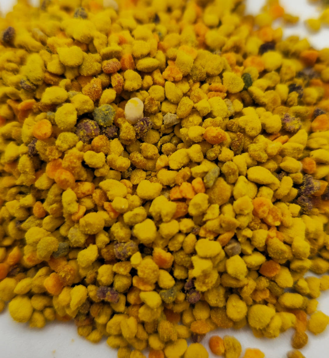 Close-up of yellow and orangebee pollen on a white background