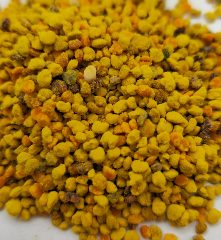 Close-up of yellow and orangebee pollen on a white background