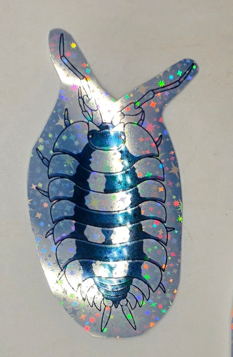 Black Ribs isopod sticker: a white-edged isopod banded in blue-black with long antennae, seen from above on star vinyl.