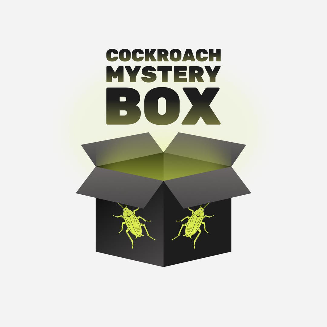 Graphic of an open black box with a lime green cockroach drawn on each side and the words Cockroach Mystery Box above.