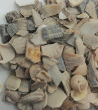 Crushed Oyster Shell 100g