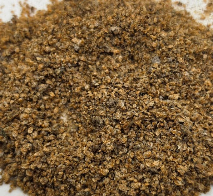 A heap of dried daphnia flakes on a white surface, fine brown grains with a dark clump at the centre.