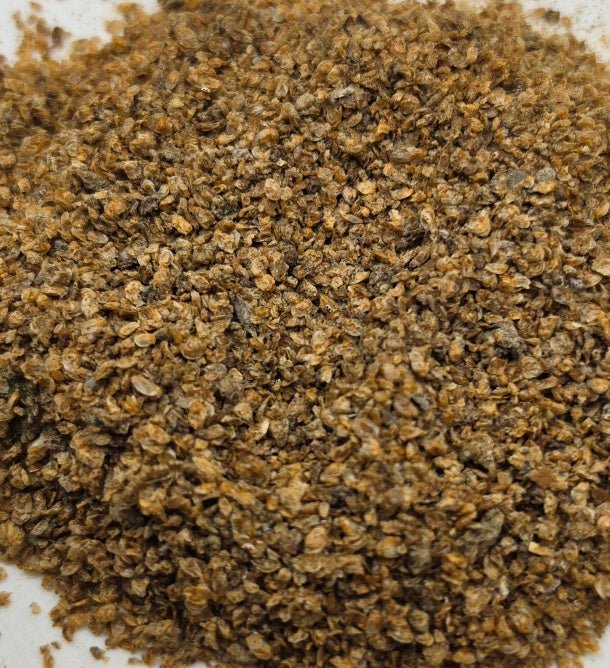 Dried Daphnia 100g