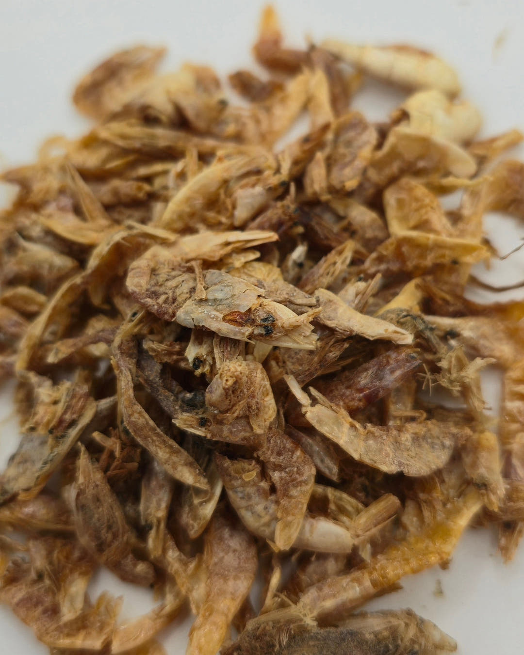 A mound of dried shrimp in gold and pale brown tones, with white background showing around the edges.