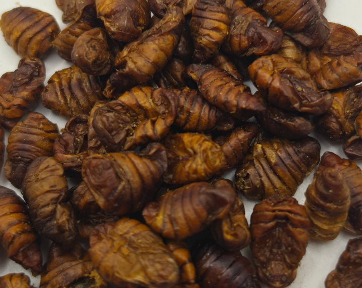 Dried Silkworm Pupae 100g