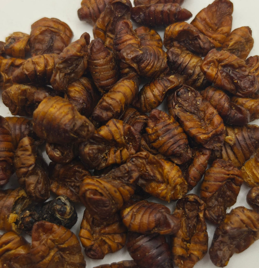 Dried Silkworm Pupae 100g