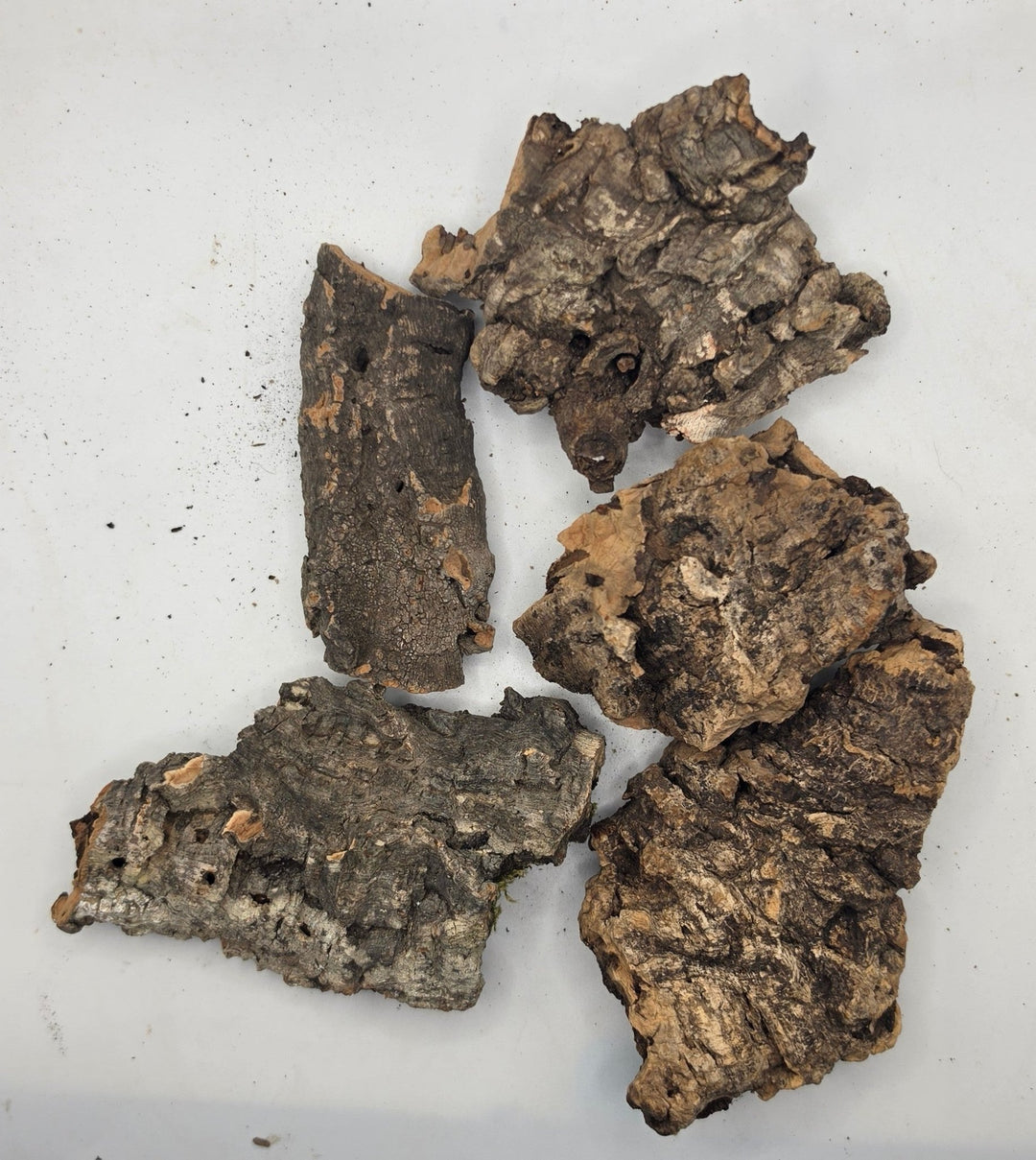 Extra Small Cork Bark Pieces 100g