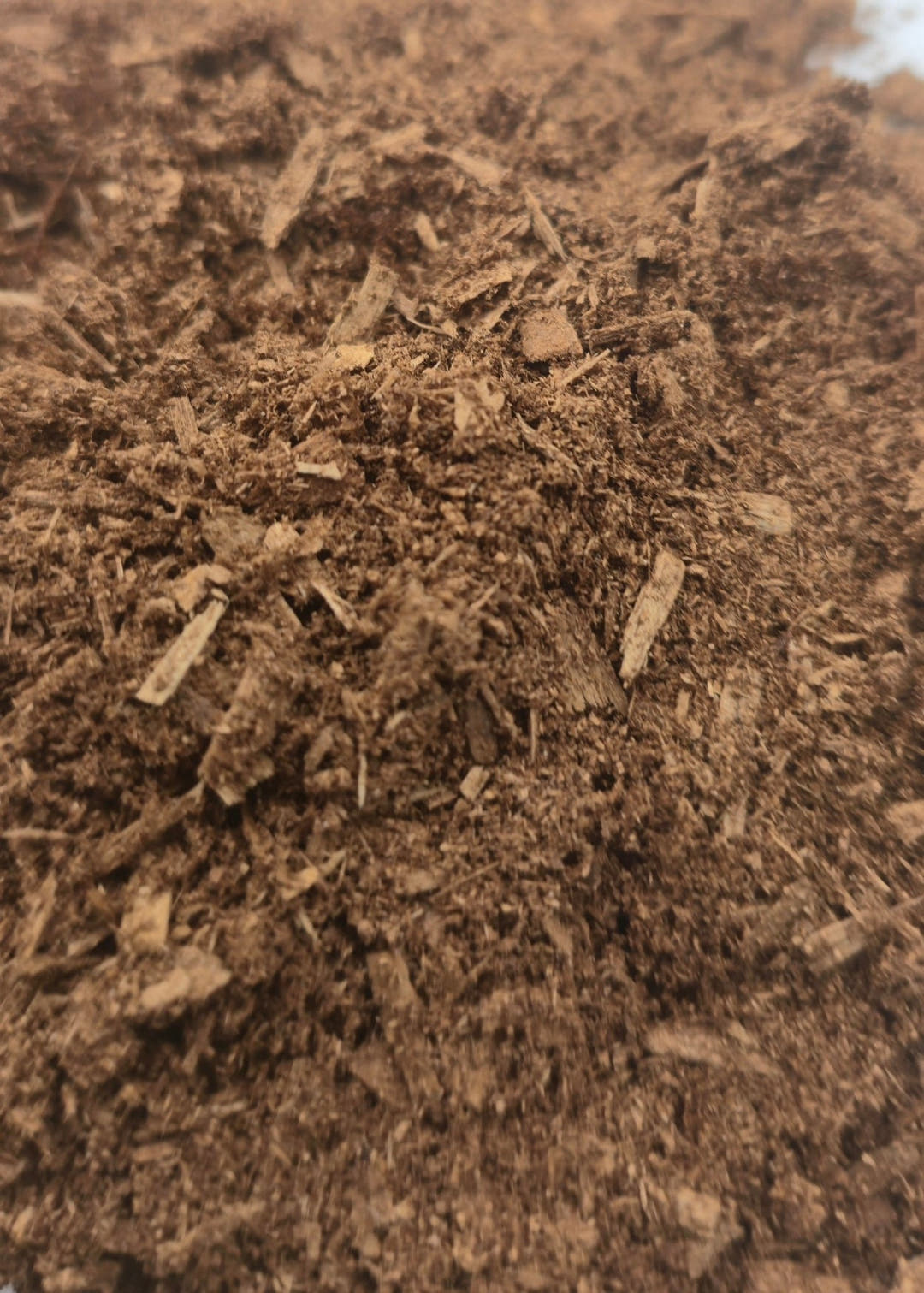 Fermented flake soil, dark soft fermented hardwood for beetle larvae and inverts