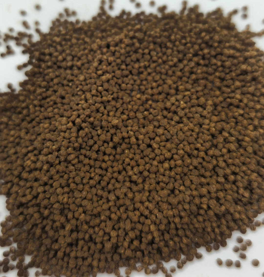A rounded heap of brown insect granules on a white surface, a few loose pellets scattered at the edges.
