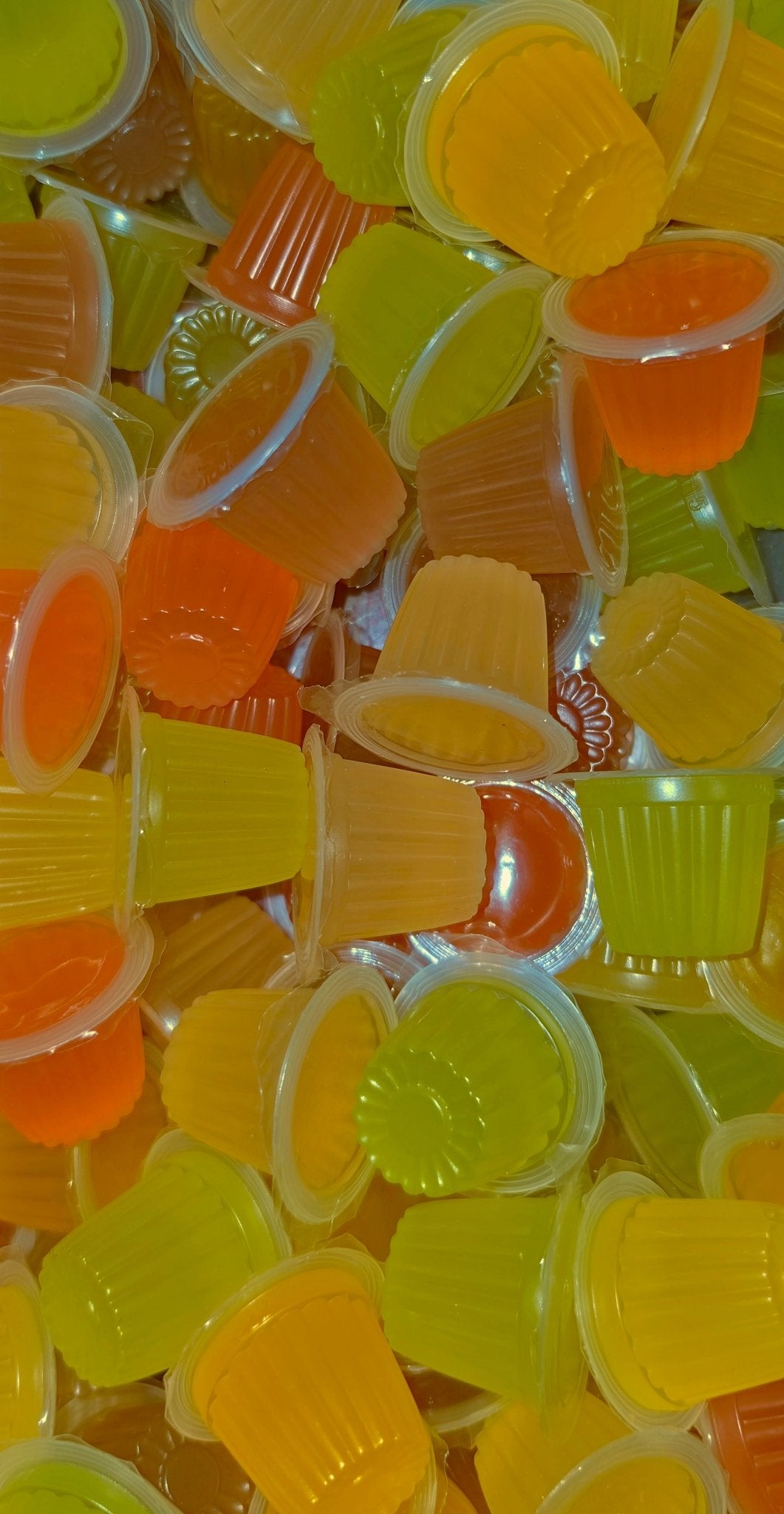 Jelly Pots for Reptiles &amp; Invertebrates