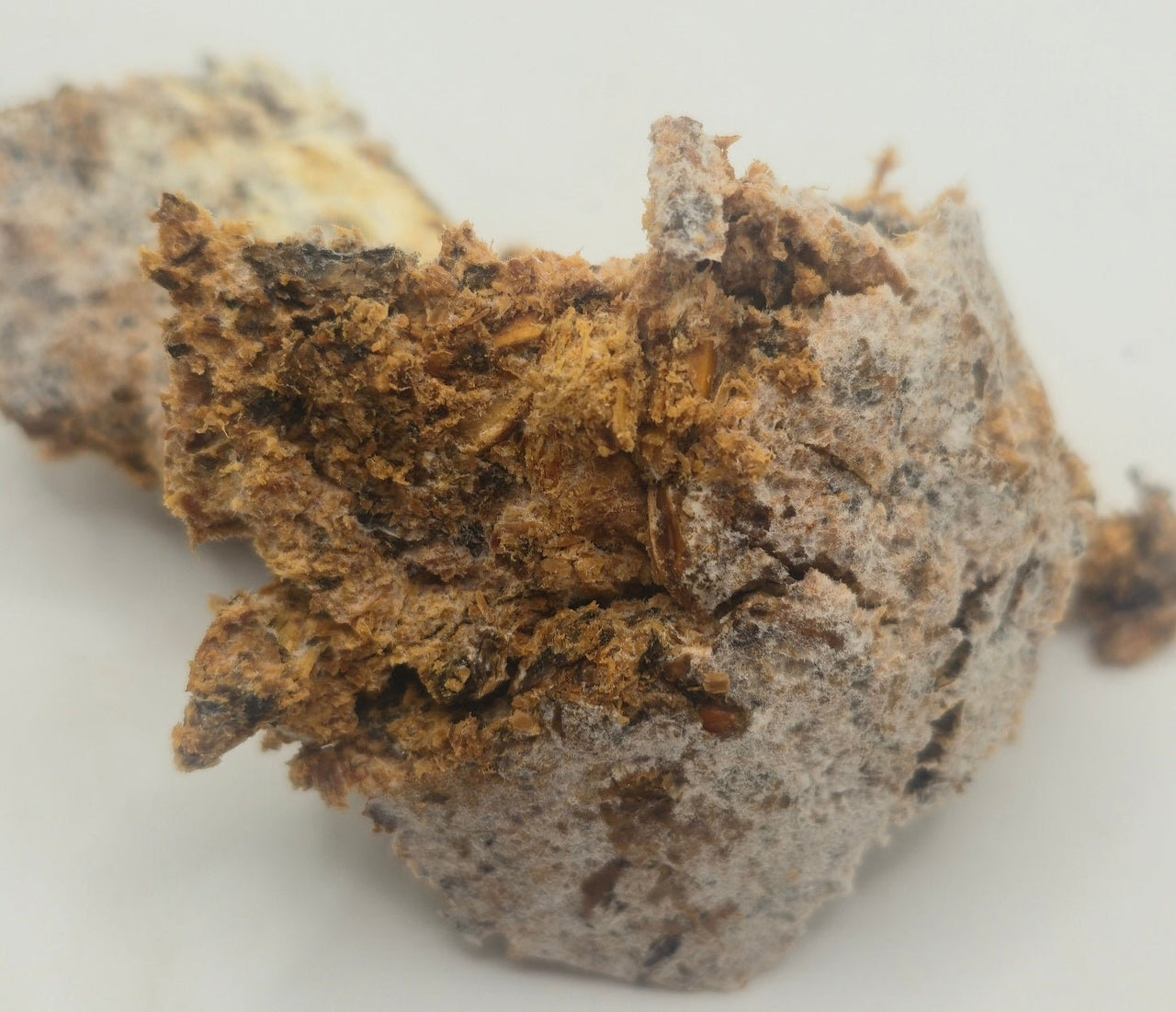 a piece of kinshi white on outside oaky orangey brown colour on the inside