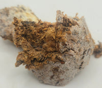 a piece of kinshi white on outside oaky orangey brown colour on the inside