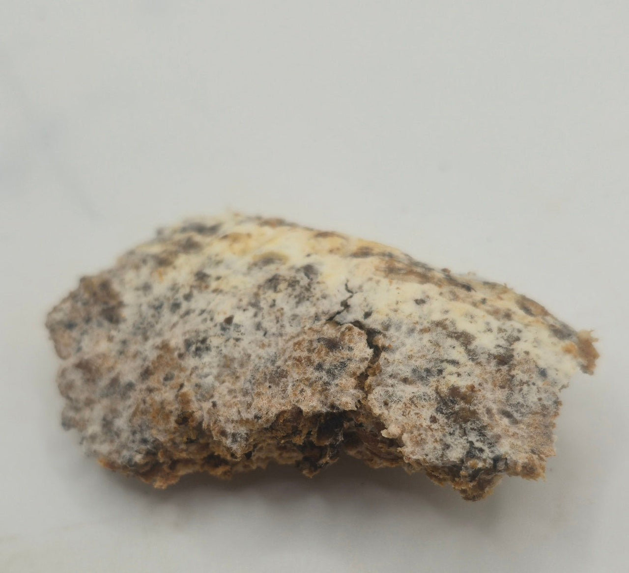 top of a block of kinshi showing the normal white and blue colouration