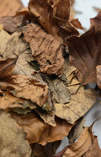 Leaf Litter 1l