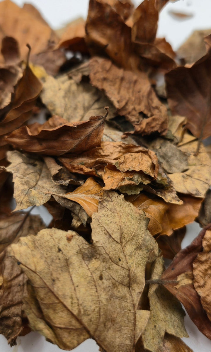 Leaf Litter 1l