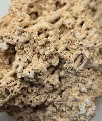 Malawi Light Limestone 200g