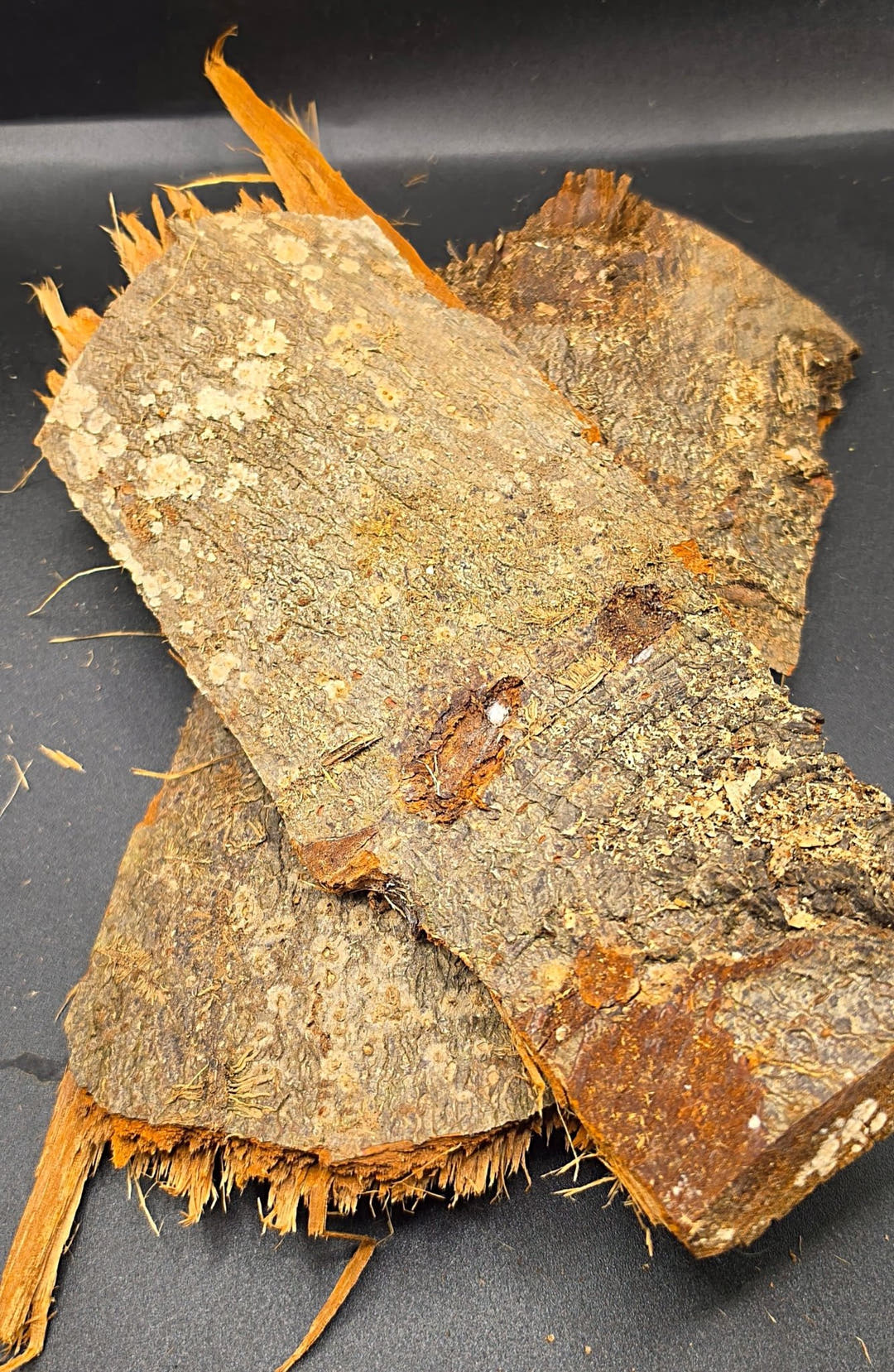 Flat pieces of bark overlapping on a dark grey surface, tan outer faces speckled with pale lichen.