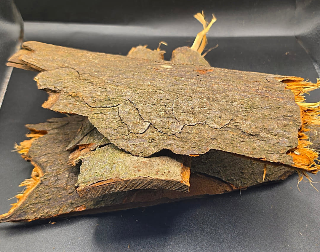 A stack of bark flats on a dark background, green-tinged lichen on top and orange frayed fibres at the sides.