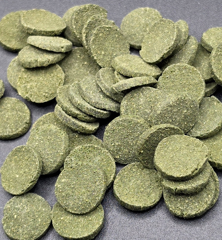 Pleco Wafers 100g
