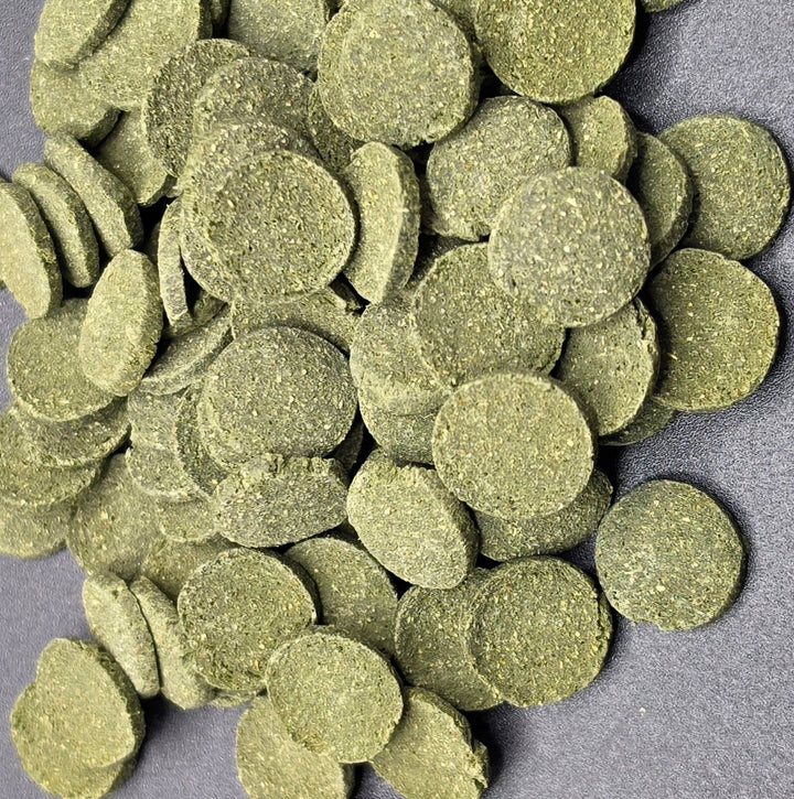 A pile of round, textured green wafers for feeding to bottom feeding fish on a dark gray background.