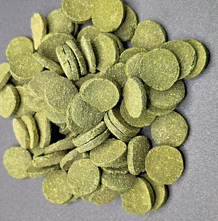 A pile of round, textured green tablets or discs scattered on a plain gray background.