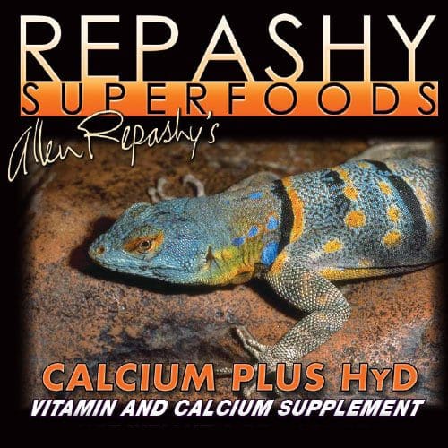 Black Repashy Superfoods label showing a blue and orange lizard on rock and the words Calcium Plus HyD, Vitamin and Calcium Supplement.