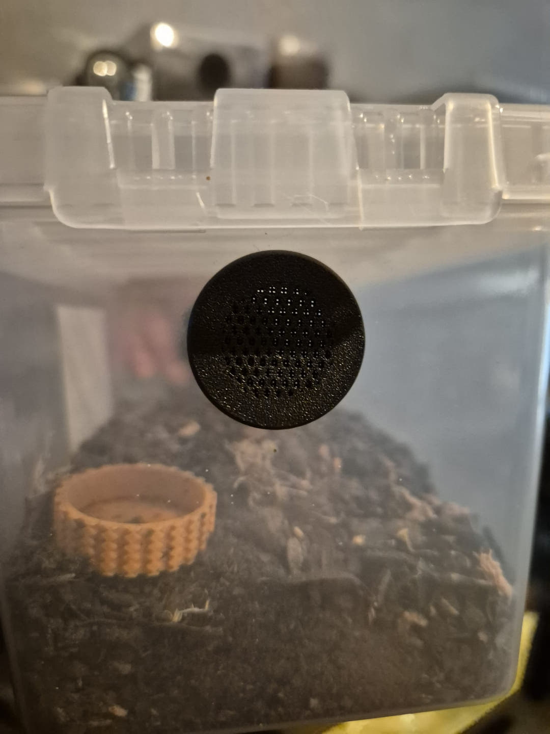 screw in air vents for isopods
