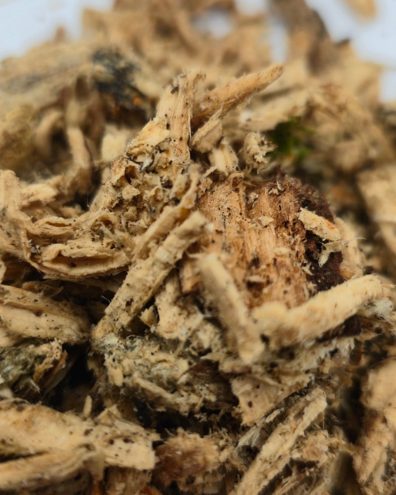 Shredded Rotten Wood 1l