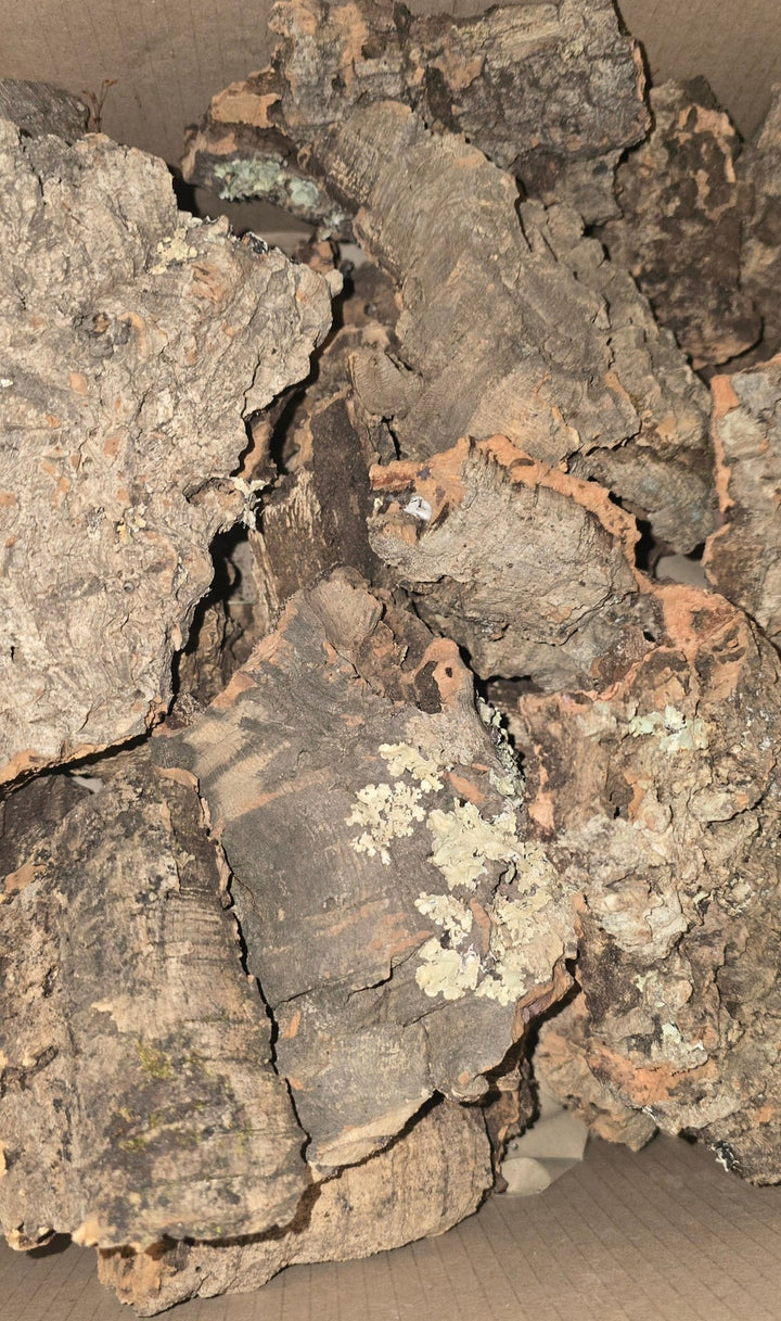Small Cork Bark