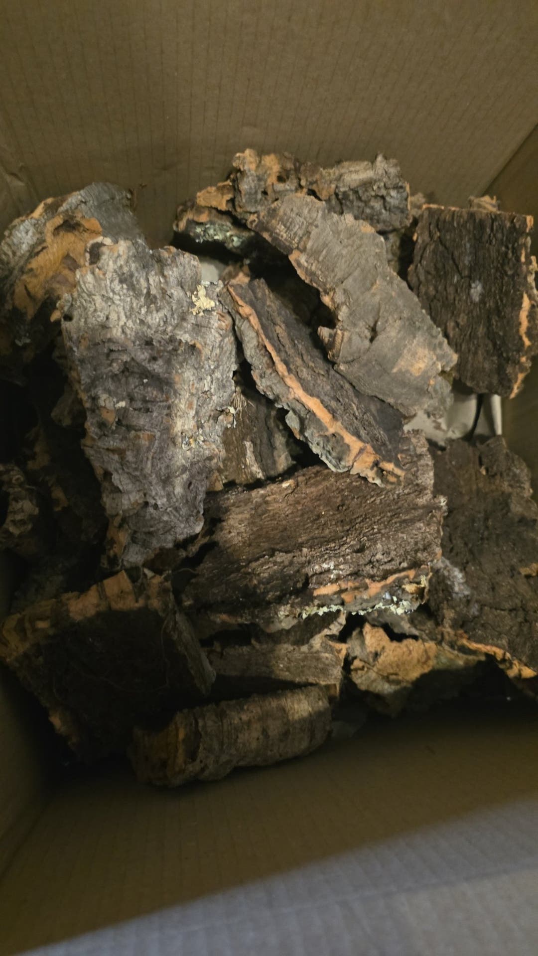 Small Cork Bark