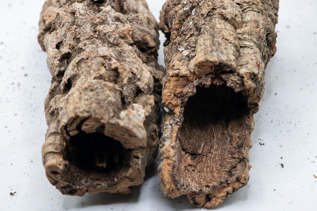 side by side light brown and dark orange tubes of cork
