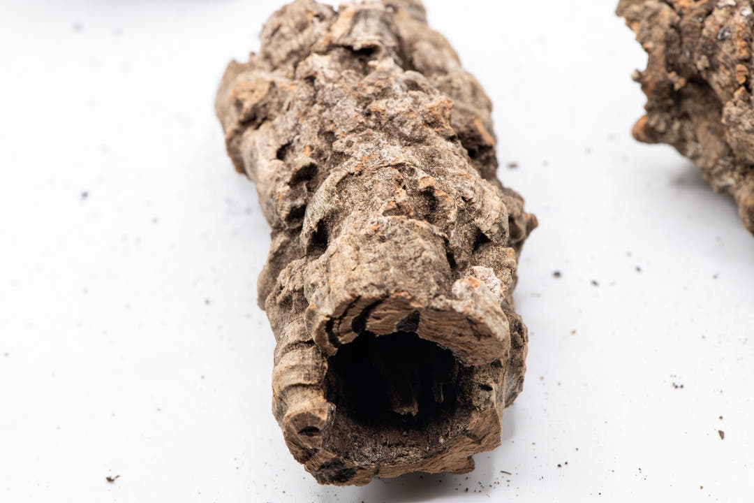 tan grey and brown cork tube