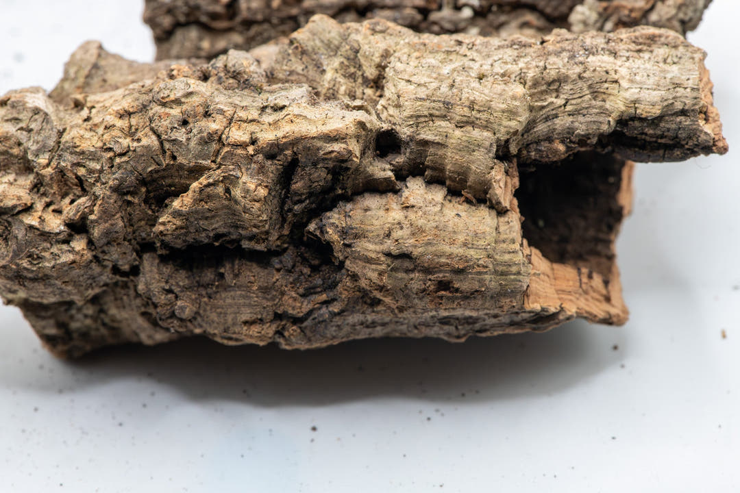 long cork bark tube