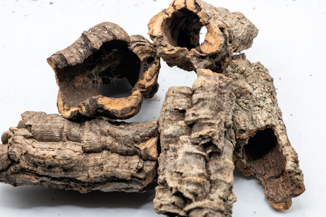 cork bark tube assortment