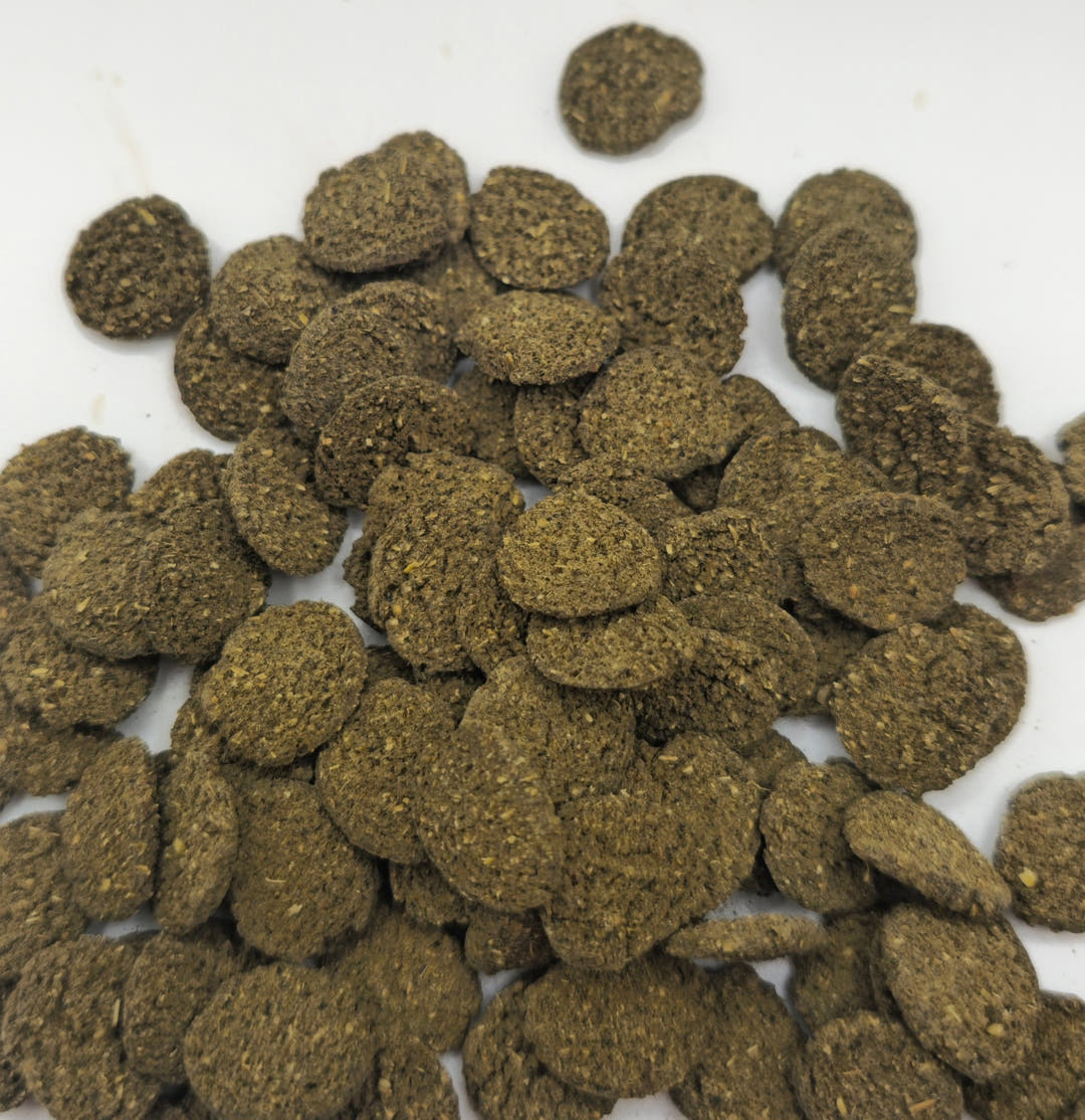 A scattered heap of round olive-brown algae wafers on white, one lying apart at the top.