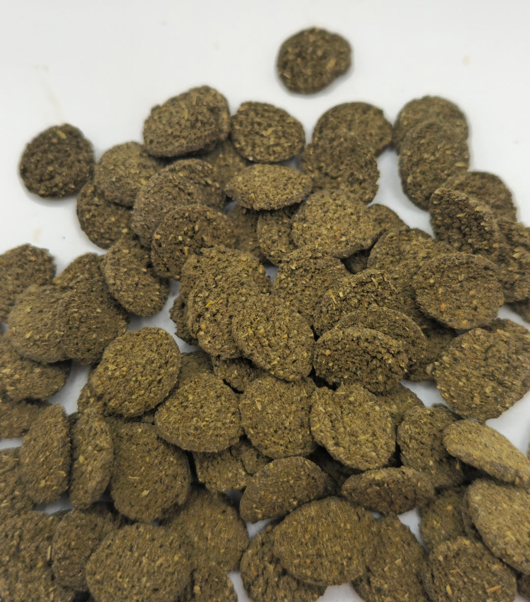 Round algae wafers in dull green-brown, spread in a loose layer across a white background.