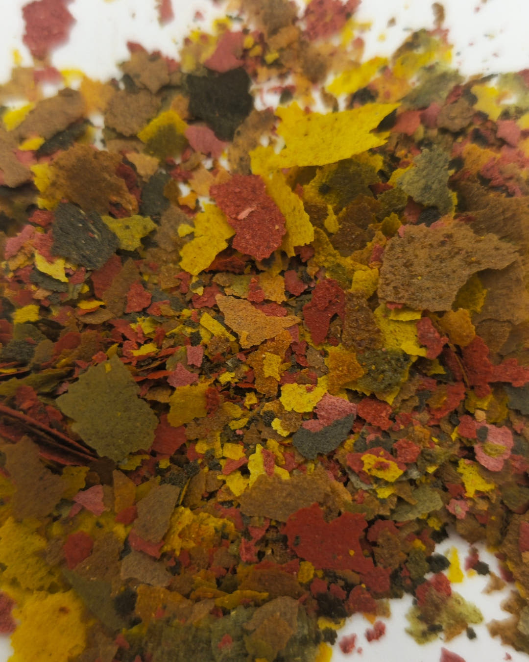 Close view of a dense drift of red, yellow and brown fish flakes, with white showing at the corners.