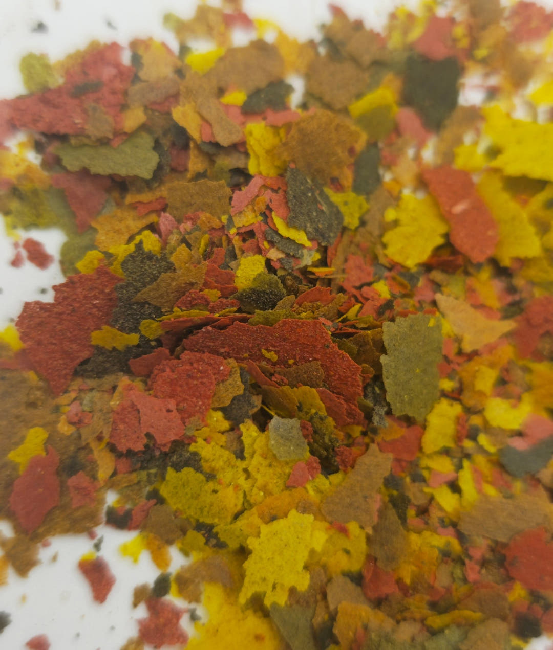 A scattering of tropical fish flakes in red, yellow, olive and brown on a white surface.